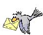 pitpit11.gif (4007 octets)